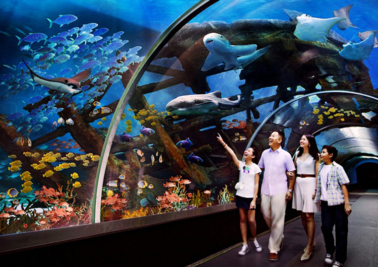Tour Singapore - Sentosa - Sea Aquarium 3N2Đ, Khởi Hành Hàng Tuần