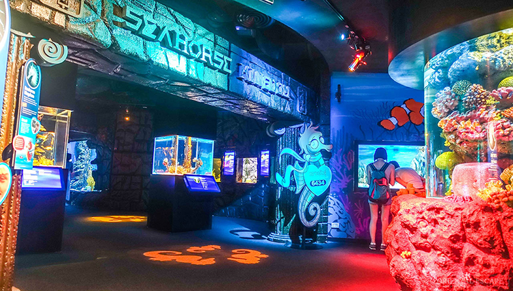 Vé Sea Life Bangkok Ocean World (Thủy Cung + Xem Show) BKK01301