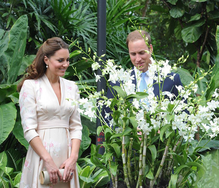 Vé National Orchid Garden SIN04501