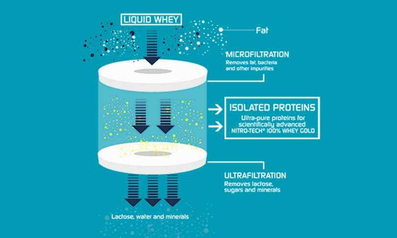 Combo Sữa tăng cơ giảm mỡ Nitro Tech 100% Whey Gold của Muscle tech hương socola hộp 76 lần dùng & Bình lắc 600 ml & Áo Gym size M