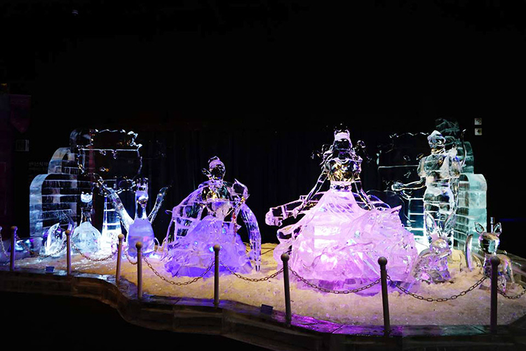 Vé Công Viên Freezing Island Seoul, Hàn Quốc