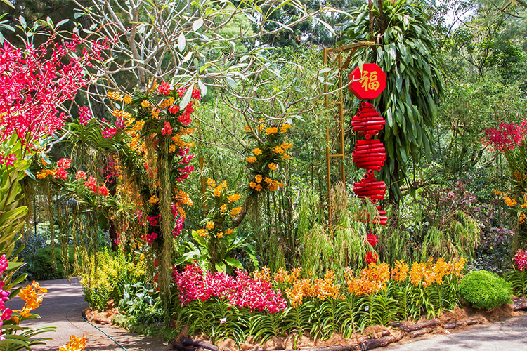 Vé Tham Quan Vườn Lan National Orchid Garden Ở Singapore