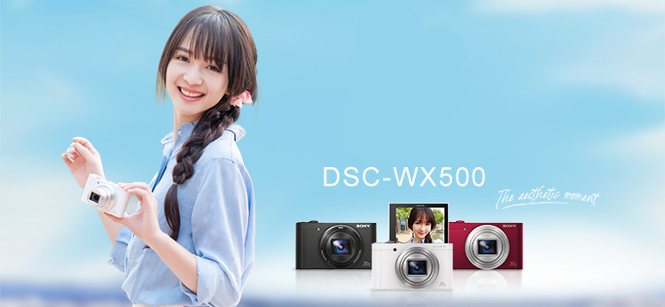 Máy Ảnh Kỹ Thuật Số SONY DSC-WX350 (Độ Phân Giải 18.2 Triệu Pixels Với Độ Zoom Quang Học 20x Và Hỗ Trợ Wi-Fi) Đen