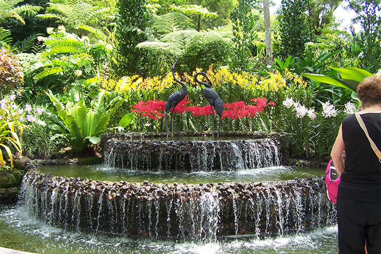 Vé Tham Quan Vườn Lan National Orchid Garden Ở Singapore