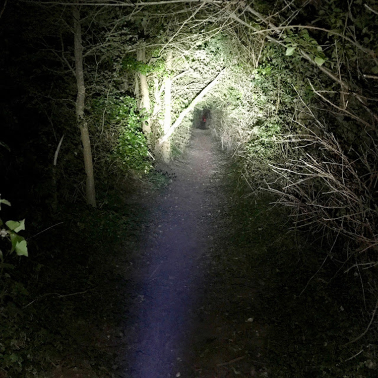 Đèn Pin Cầm Tay LED Lenser MT6 (141mm)