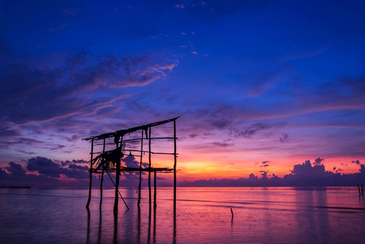 Tour Câu Mực Đêm Phú Quốc, Ăn Tối, Đón/Tiễn, Không Phụ Thu Lễ/Tết