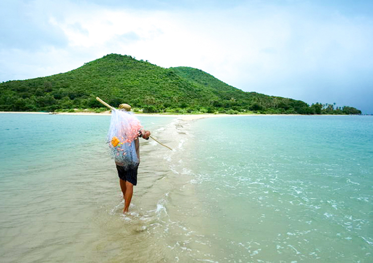 Tour Đảo Điệp Sơn - Dốc Lết 1 Ngày, Khởi Hành Hàng Ngày, Đón Tại Nha Trang