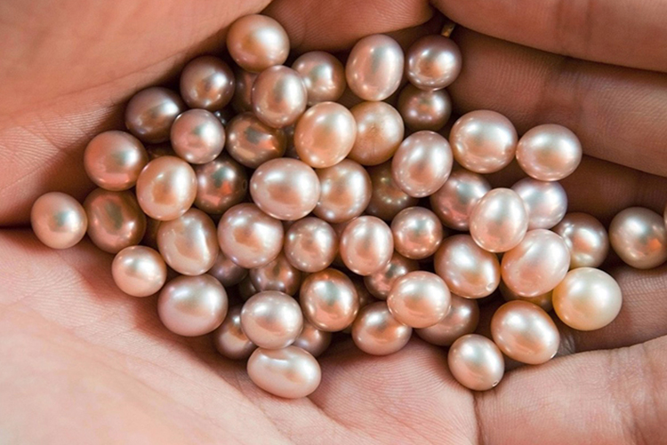 Tour Hè Phú Quốc, Tham Quan Nam & Đông Đảo 01 Ngày, KH Hàng Ngày