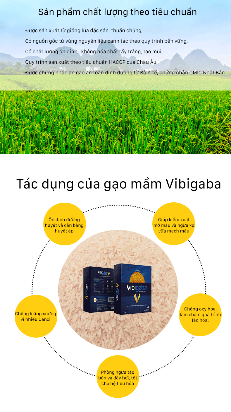Gạo Mầm Vibigaba Cho Người Tiểu Đường, Giảm Cân - Hộp 1kg 1