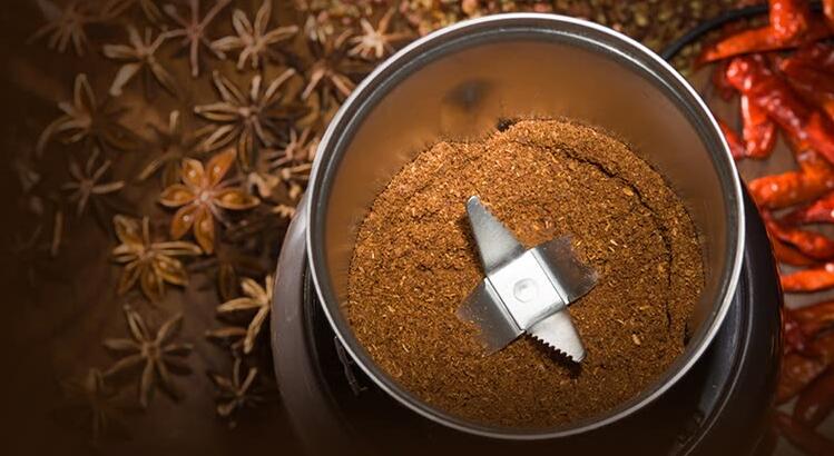 Bear FSJ-A03D1 Grinder for Seed Bean Nut Herb Pepper & Grain