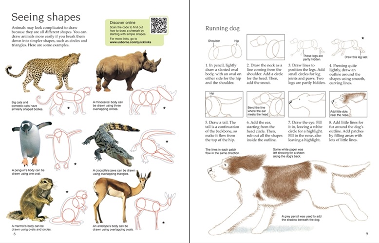 Usborne art ideas: drawing animals