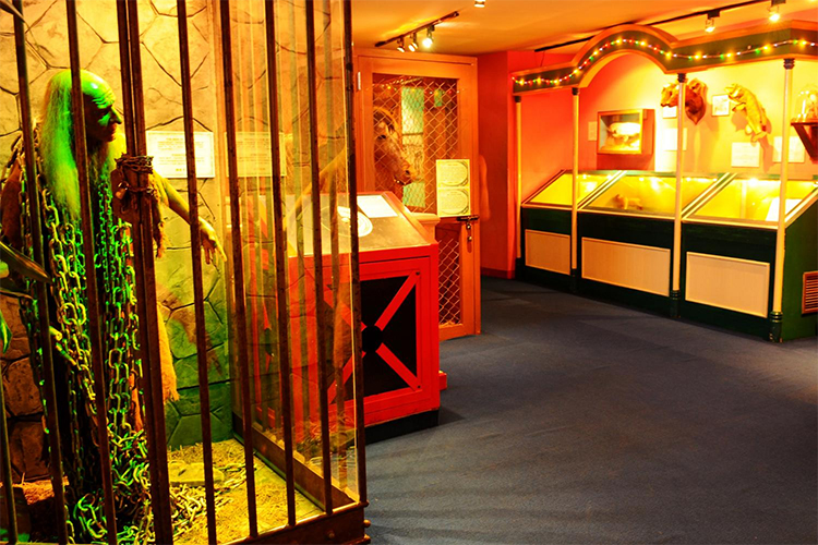 Vé Ripley'S World Of Entertainment Pattaya, Thái Lan (Loại Vé 3 Khu Triễn Lãm)