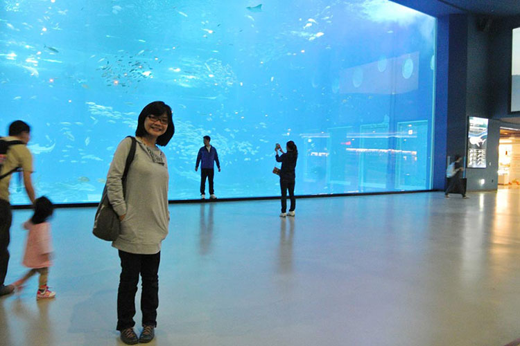 Vé Thủy Cung Aqua Planet Jeju, Hàn Quốc