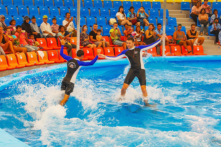 Vé Dolphins Bay Nemo Phuket, Thái Lan - Ghế Thường