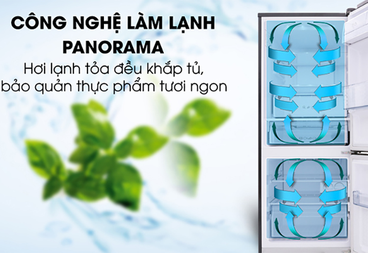 Tủ Lạnh Inverter Panasonic NR-BV288GKV2 (255L)