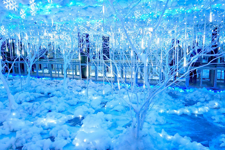 Vé Bảo Tàng Tranh 3D Alive