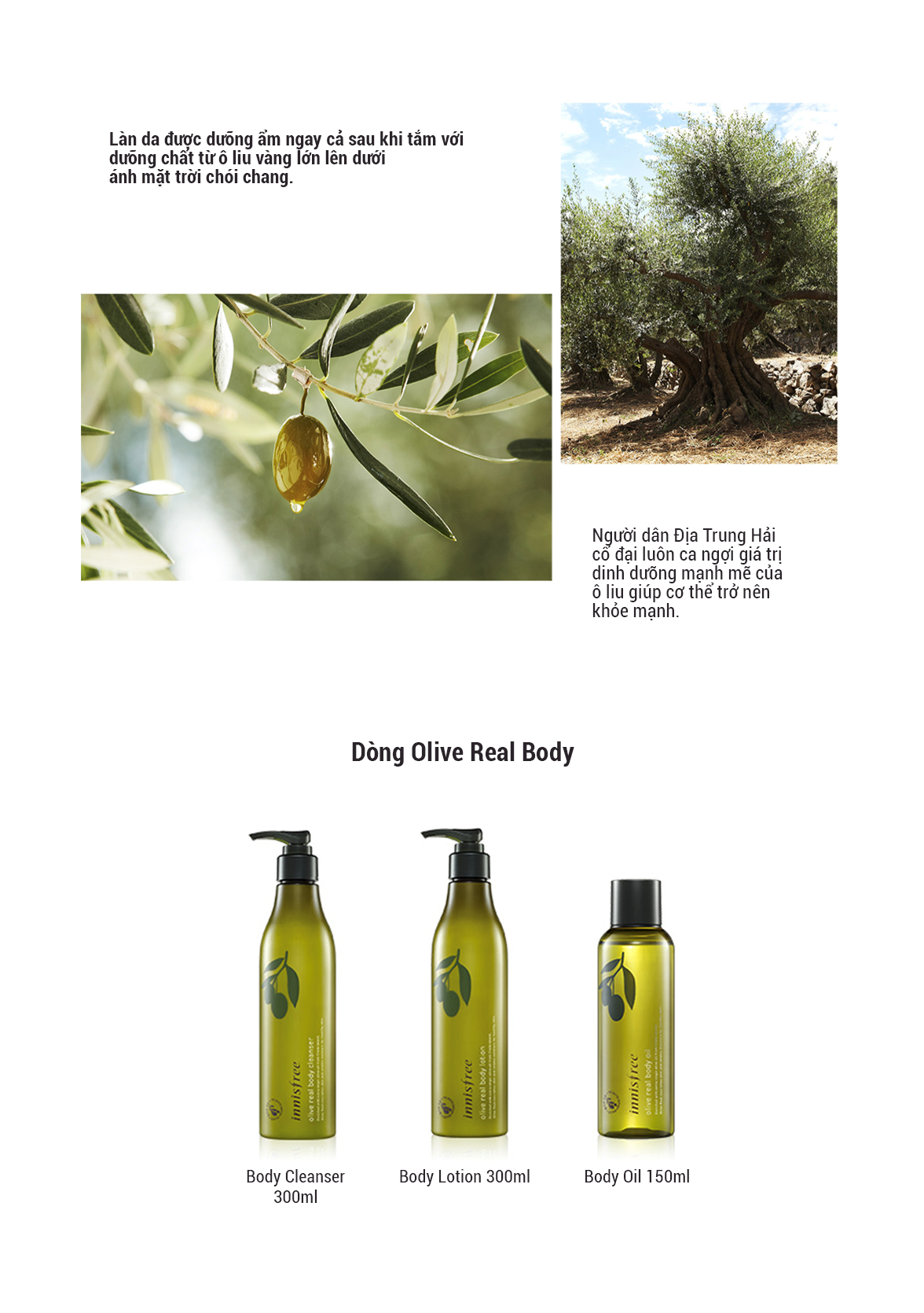 Sữa Dưỡng Thể Cung Cấp Độ Ẩm Chiết Xuất Từ Ô Liu Innisfree Olive Real Body Lotion (150ml)