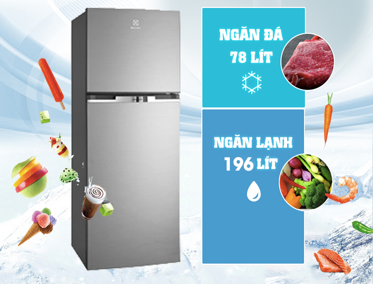 Tủ Lạnh Inverter Electrolux ETB2600MG (254L)