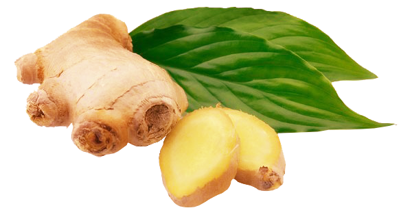 mat ong gung chanh xa m honey