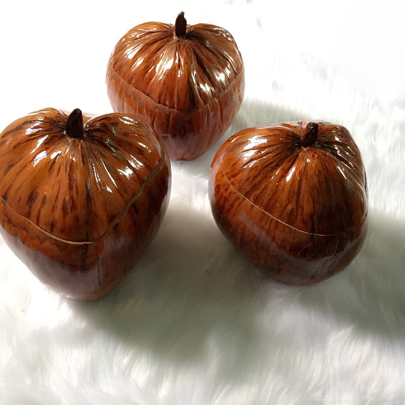 Vỏ bình trà trái dừa giữ ấm