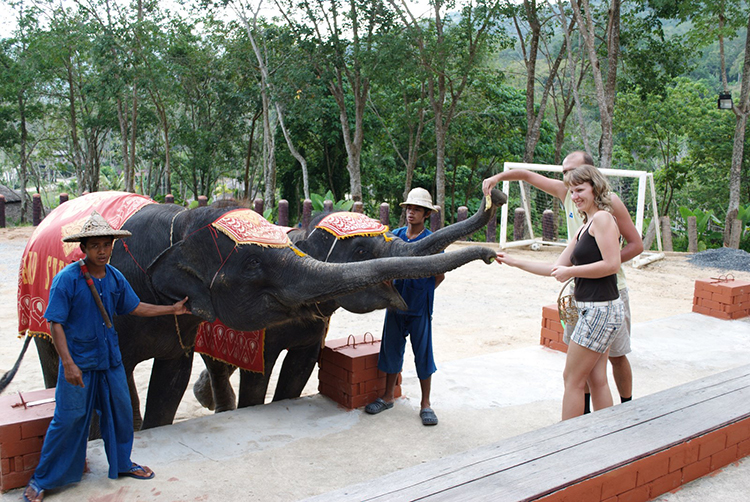 Vé Phuket Safari Gói D + Bữa Trưa (08:00 -12:30)