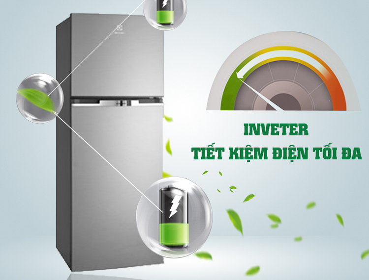 Tủ Lạnh Inverter Electrolux ETB2600MG (254L)