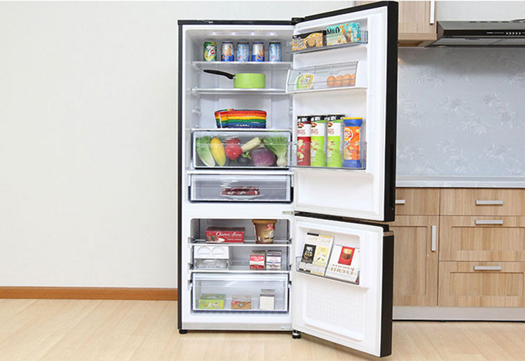 Tủ Lạnh Inverter Panasonic NR-BV288GKV2 (255L)