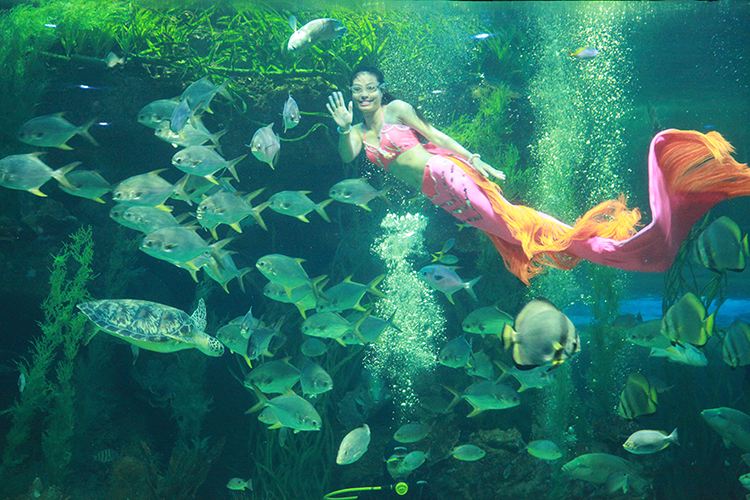 Vé Vinpearl Land Phú Quốc