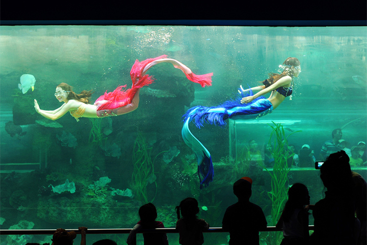 Vinpearl Phú Quốc Ocean Resort & Villas 5* - Villa 02 Phòng Ngủ + Ăn Sáng + Vinpearl Land & Safari