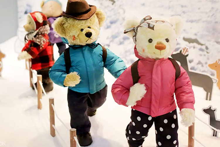 Vé Bảo Tàng Gấu Teddy Jeju, Hàn Quốc