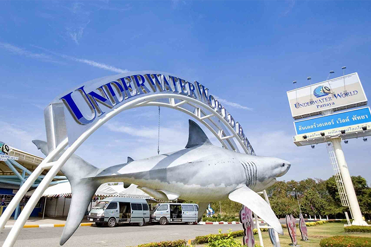 Vé Thủy Cung Underwater World Ở Pattaya, Thái Lan