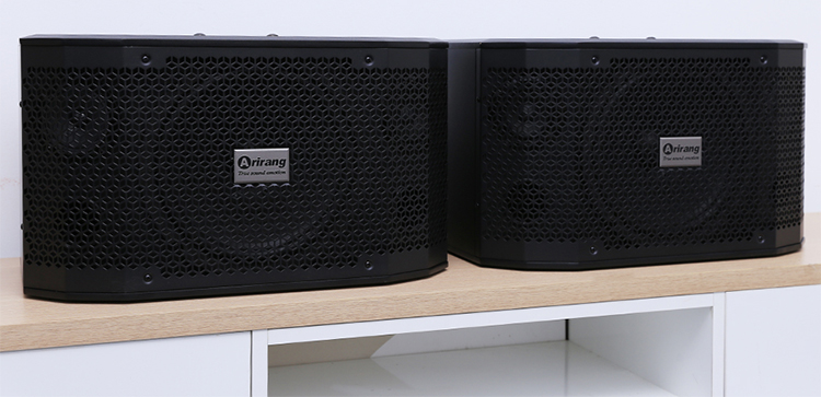 Loa Arirang TSE-T3 400W